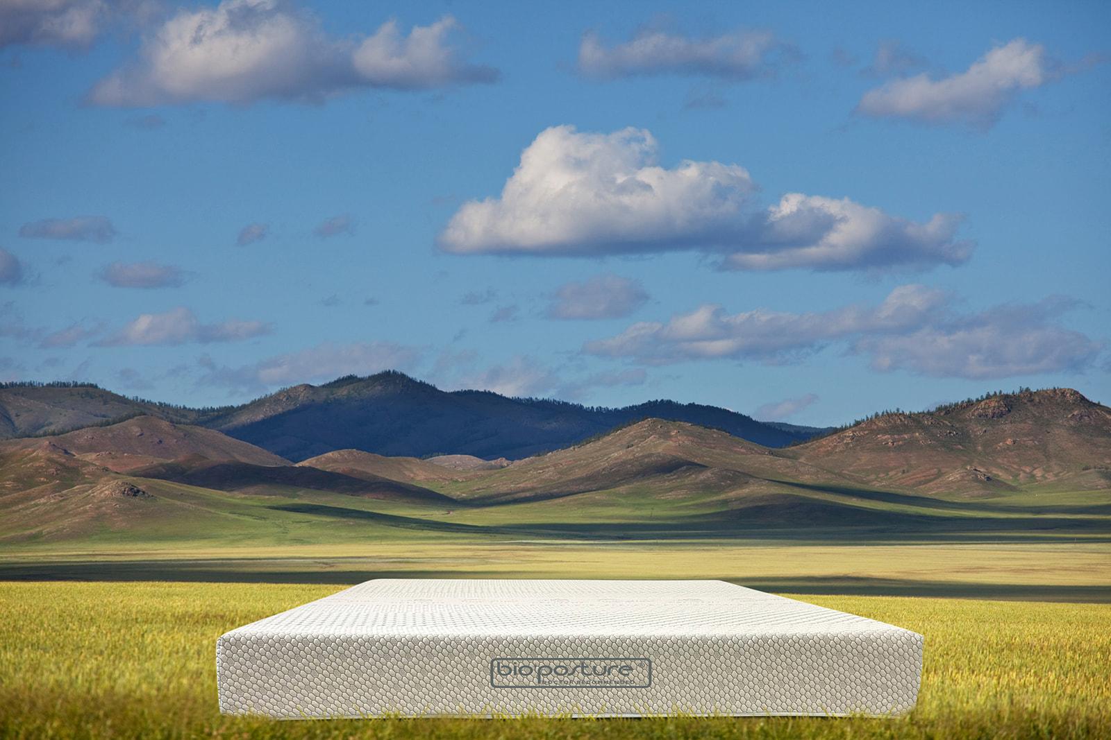 BioPosture 9″ REM Lo-Profile Mattress - Image 5