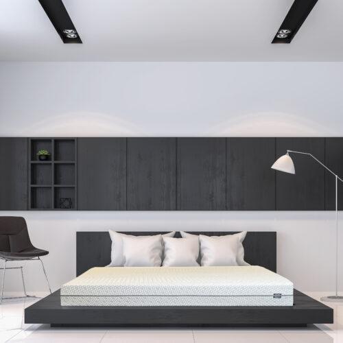 BioPosture 10" Dual Comfort Remedy Mattress