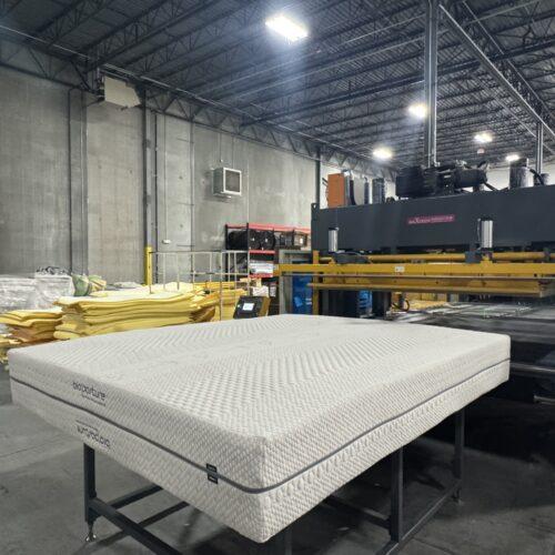 NEW! Bio-XL Mattresses